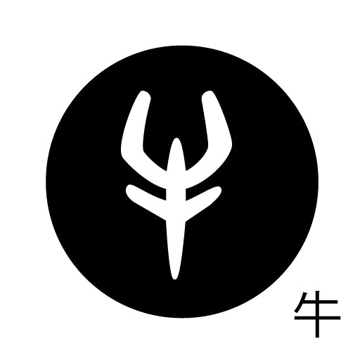 古代文字 ピアス(片耳用)濡羽色 カ行その2 九〜厳