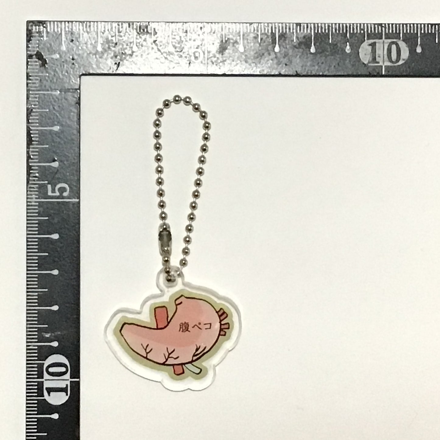 アクリルキーホルダー 人体模型マナブくん