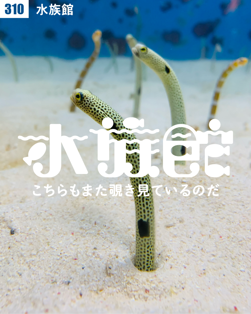 100. TYPOGRAPHY 301〜330