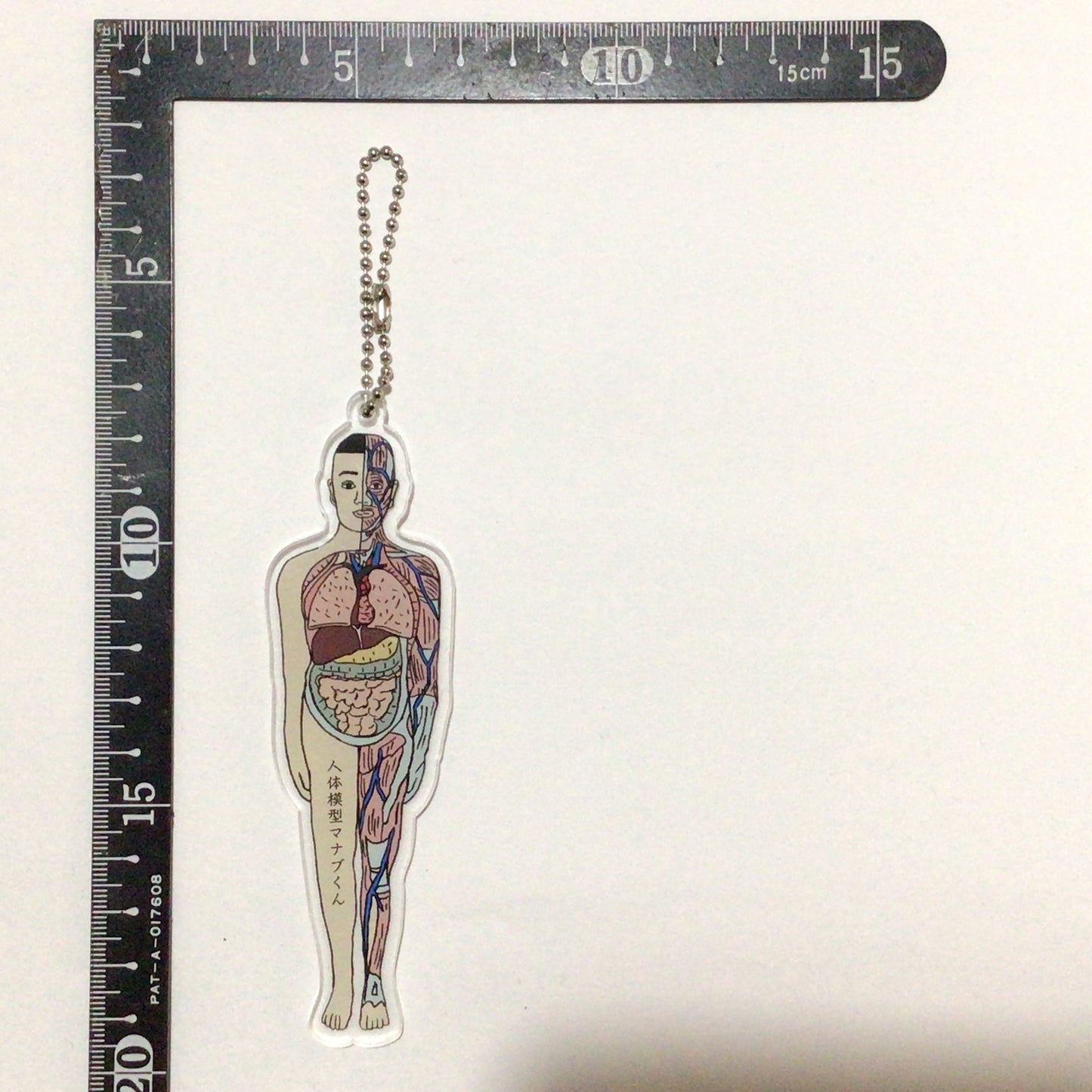 アクリルキーホルダー 人体模型マナブくん