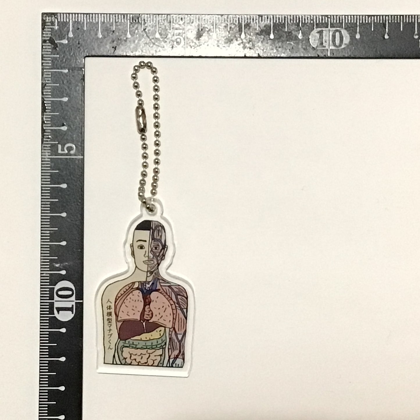 アクリルキーホルダー 人体模型マナブくん