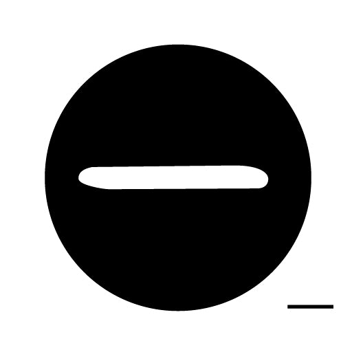 古代文字 ペンダント 濡羽色 ア行 愛〜温