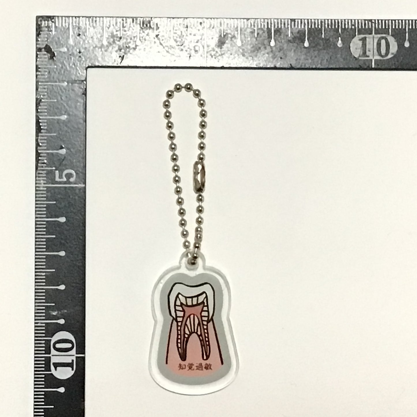 アクリルキーホルダー 人体模型マナブくん