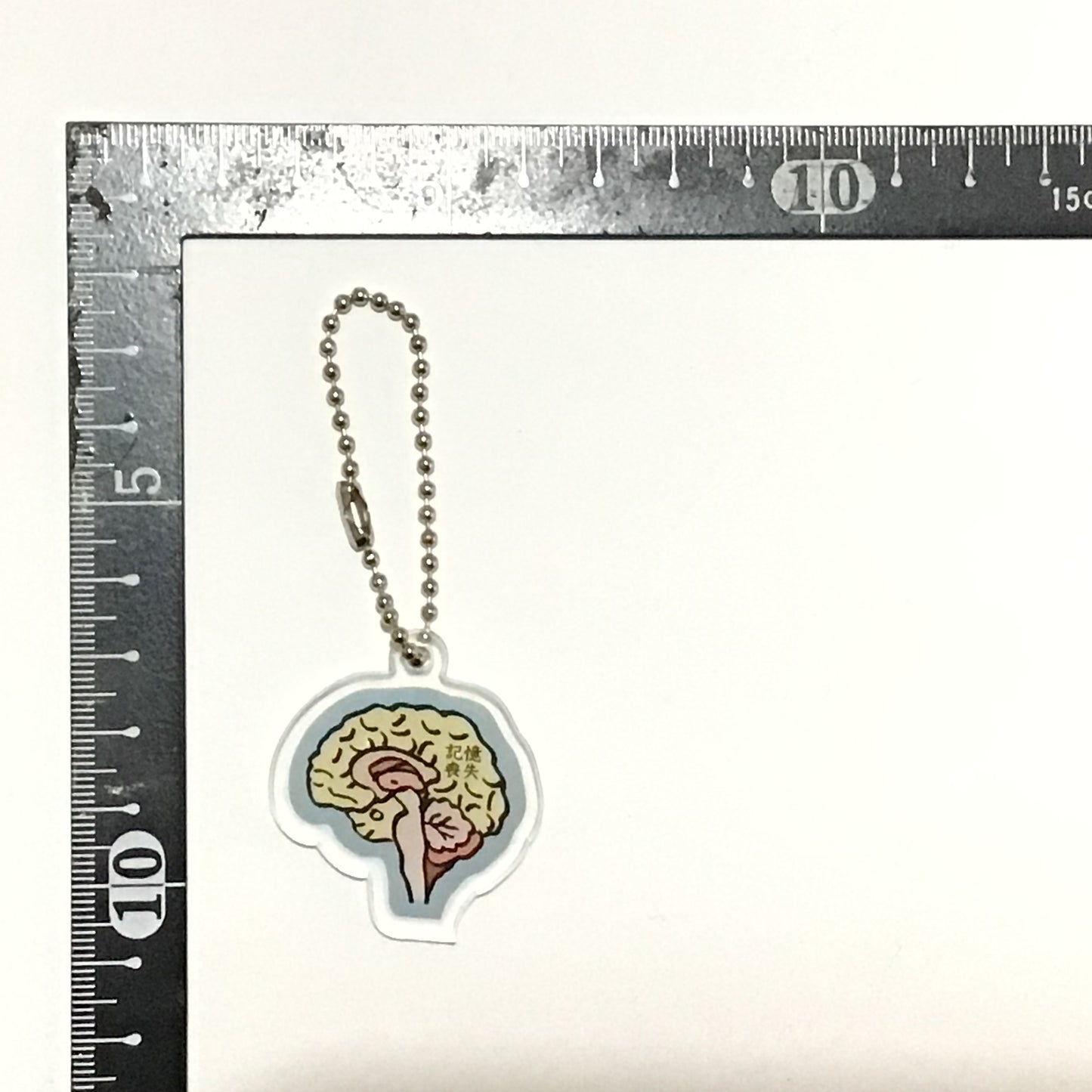アクリルキーホルダー 人体模型マナブくん