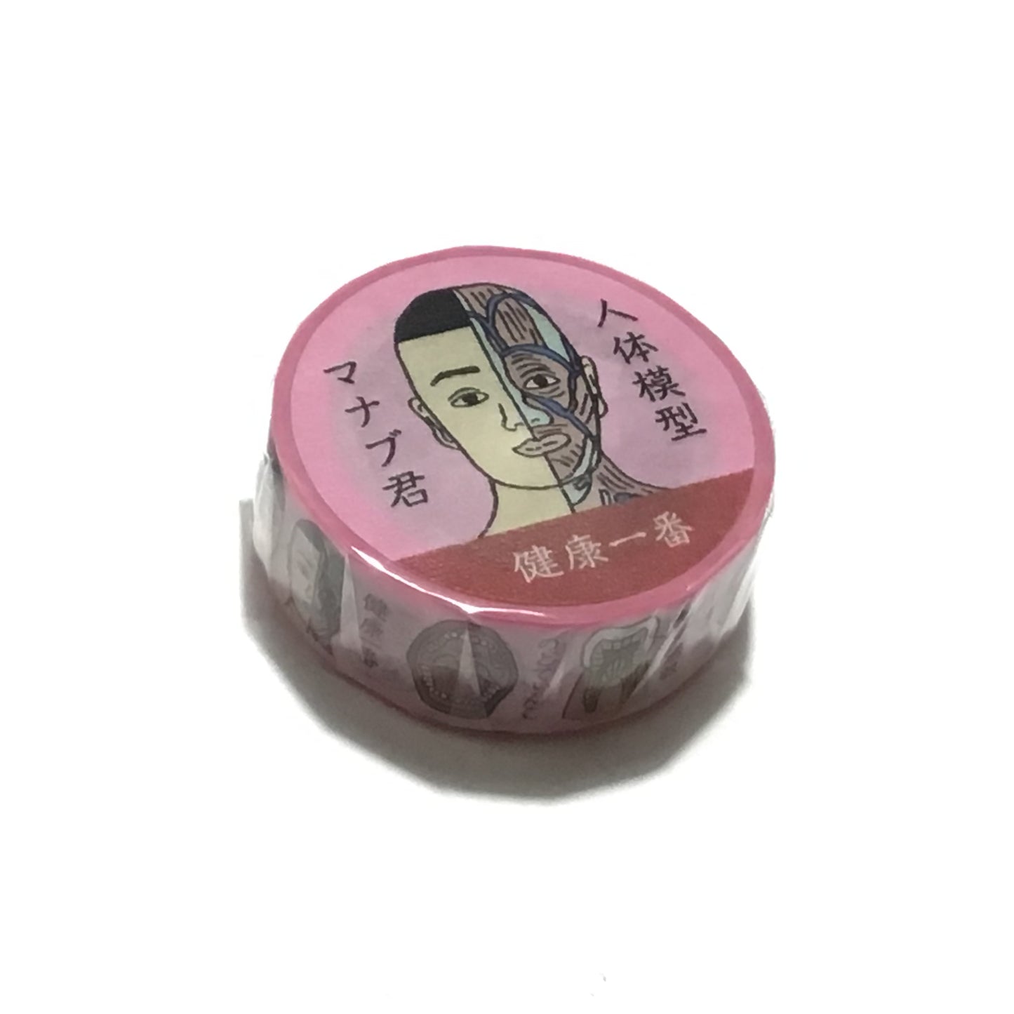 人体模型マナブくん マスキングテープ