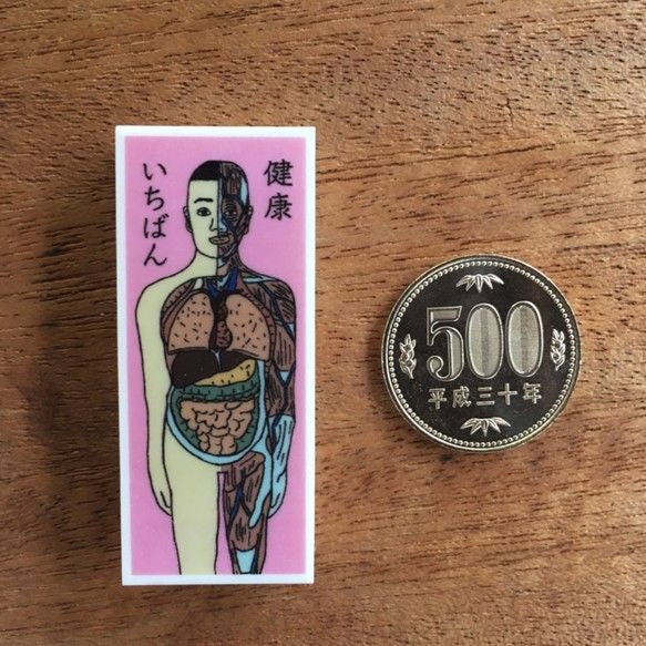人体模型マナブ君 消しゴム