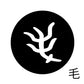 古代文字　くるみぼたん　濡羽色　マ行