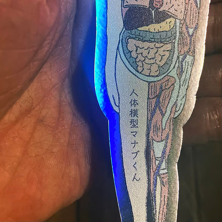 人体模型マナブくん ホログラムステッカー