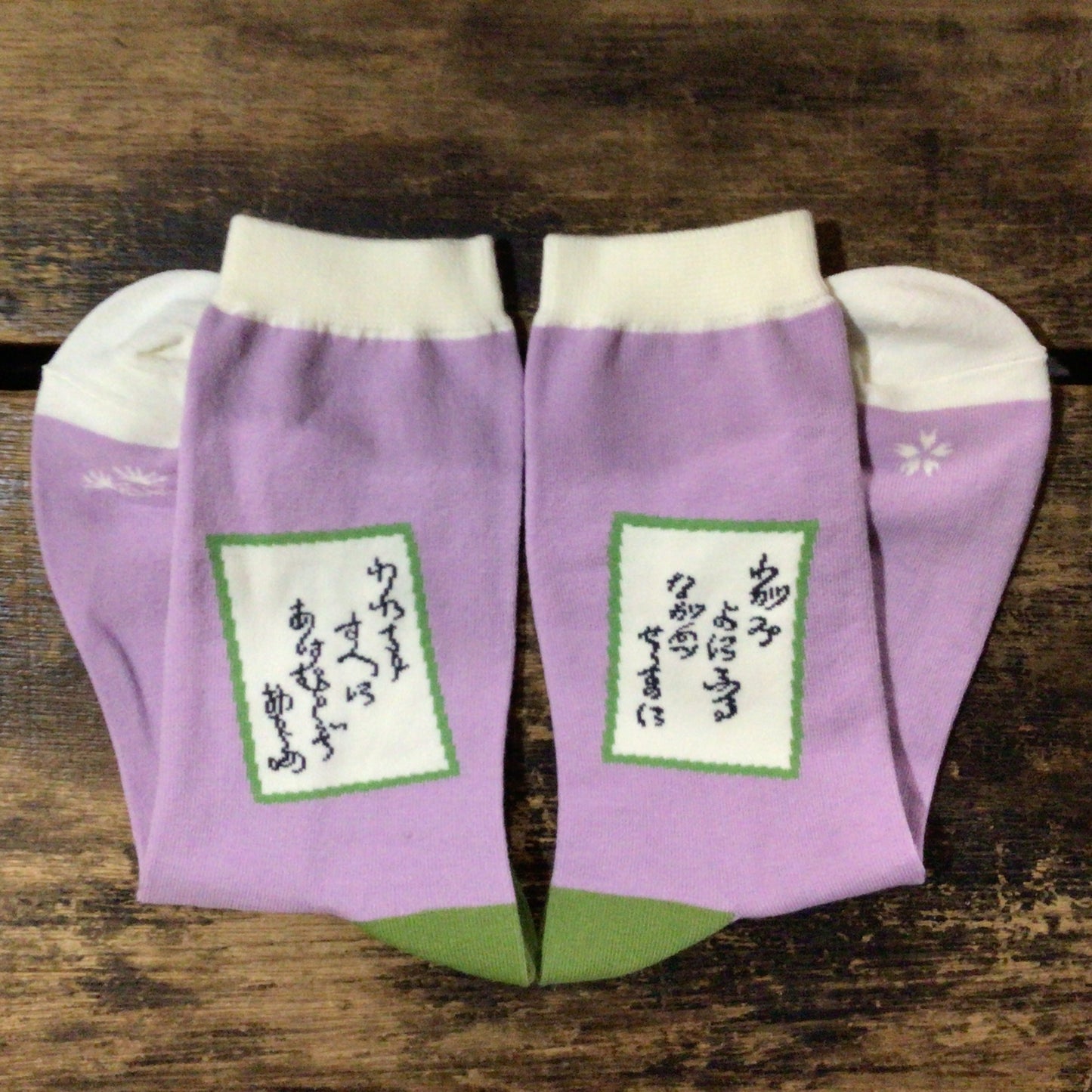 garapagosocks 靴下