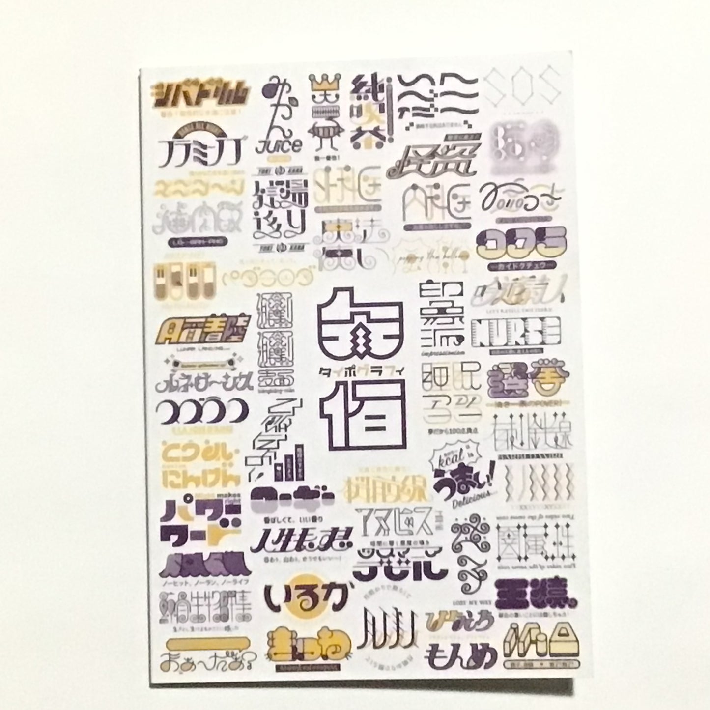 100TYPOGRAPHY  RECORD BOOK