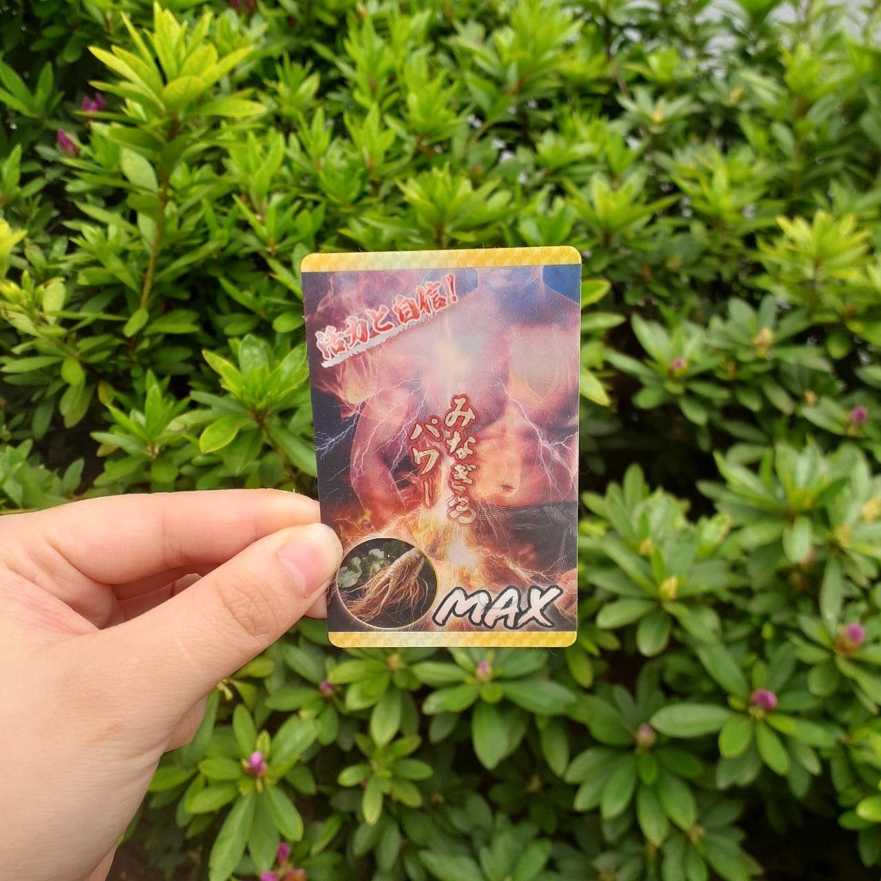 『よみがえれ男の自信！みなぎるパワーMAX』ステッカー