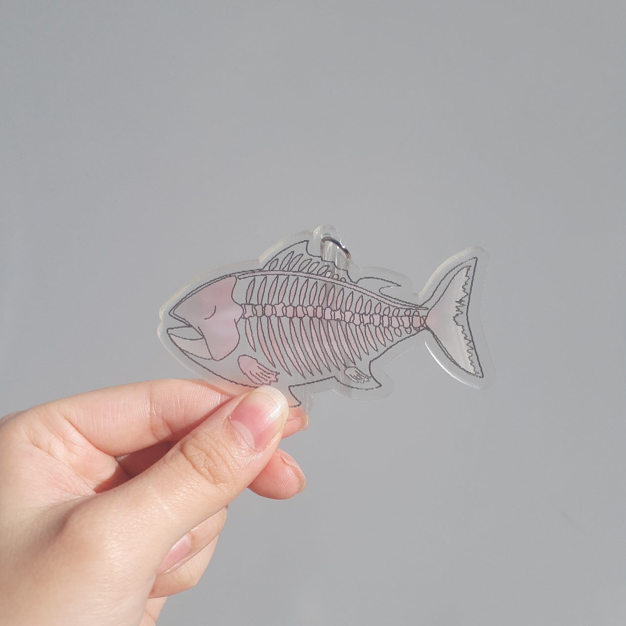 獲れたて新鮮！『おいしいマグロ』アクキー