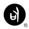司