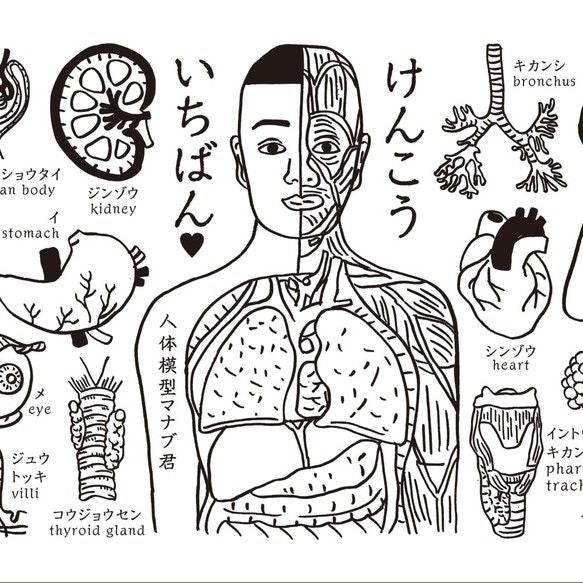 人体模型マナブ君 手ぬぐい
